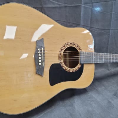 Washburn AD5K Apprentice 5 Series Spruce/Mahogany Dreadnought Natural for sale