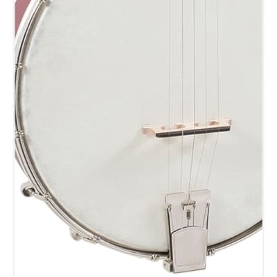 Recording King RKOH-05 | Dirty 30s Open Back Banjo. Brand New! image 2