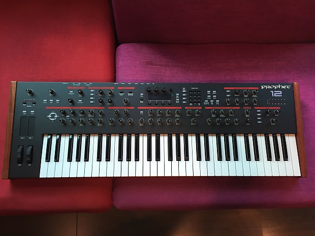 Dave Smith Instruments  Prophet 12 Keyboard Synthesizer 50% shipping cost shared image 1