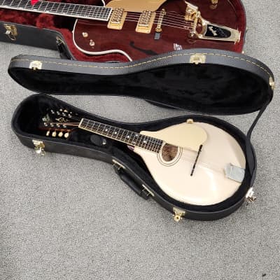 Gibson  A3 mandolin  1919 - Ivory (White top) with case for sale