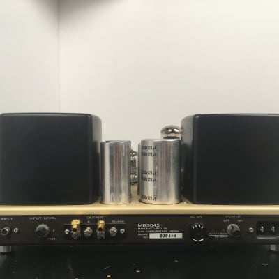 Luxman MB-3045 Tube Monoblock Amplifier Pair | Reverb