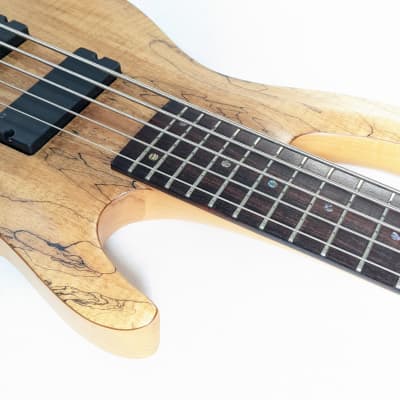 ESP LTD B405 SM - Spalted Maple | Reverb