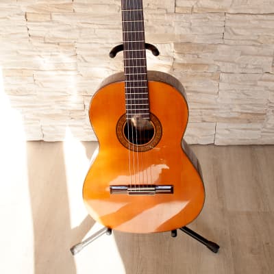 1980s Morris MC-112 Classical Nylon String Guitar NOS