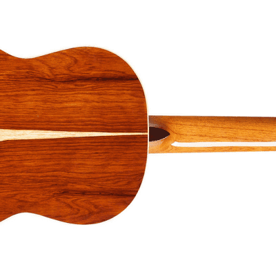 Cordoba Luthier Select Esteso Spruce Nylon String Guitar w/ Archtop Case image 7