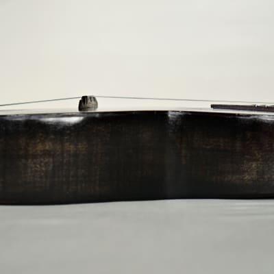 Mandolinetto - Guitar shaped Mandolin circa early 1900's image 18