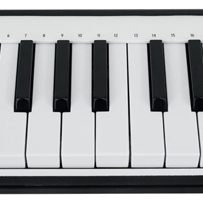 Arturia MicroLab Black Music Production USB MIDI 25-Key Keyboard Controller image 2