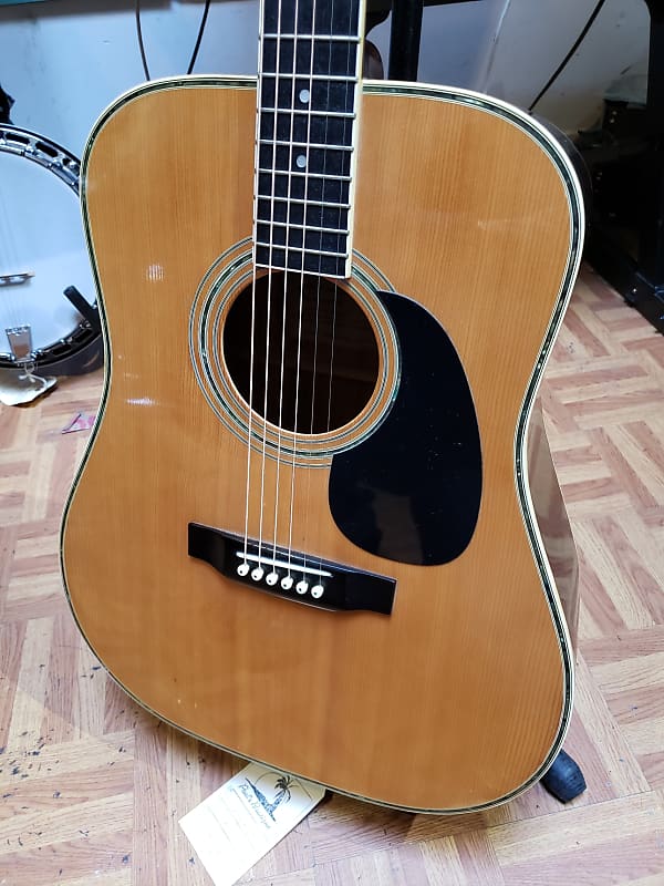 Tokai Cat's Eyes Ce200d | Reverb