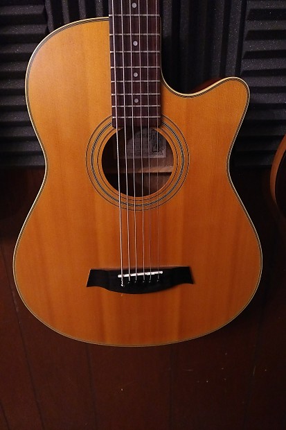 Ibanez AEB45 converted to Baritone Bass VI