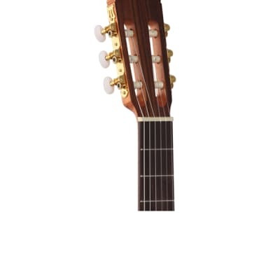 Cordoba Protege C1M Nylon String Guitar image 4
