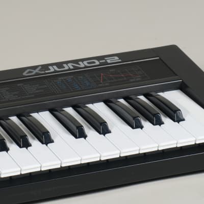 Roland Alpha Juno-2 Programmable Polyphonic Synthesizer (serviced) image 6