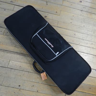 Road runner polyfoam discount acoustic guitar case