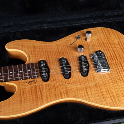 Godin Passion RG.3 2009 - FLAME Maple | Reverb