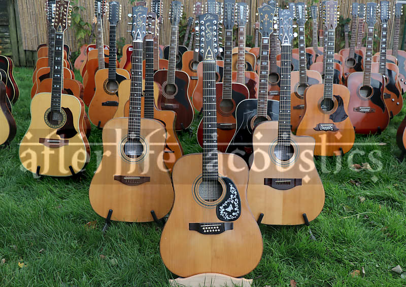 ☆☆ Epic Vintage Eko Acoustic Guitar Collection ☆☆ image 1