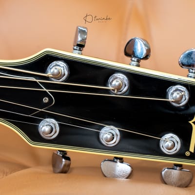 レア!! Washburn SBF-80 Nuno Bettemcourt エレアコ ヌーノ
