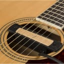 Fender Cypress Acoustic Pickup