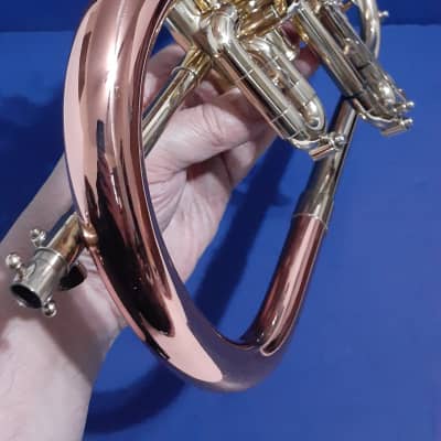 Blessing Flugelhorn & GETZEN Super Deluxe Trumpet W Combo Case & MP's - Clear Lacquer / Raw Brass image 19