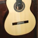 Cordoba C10 SP All Solid Spruce Top Rosewood Nylon String Classical Guitar w/Case