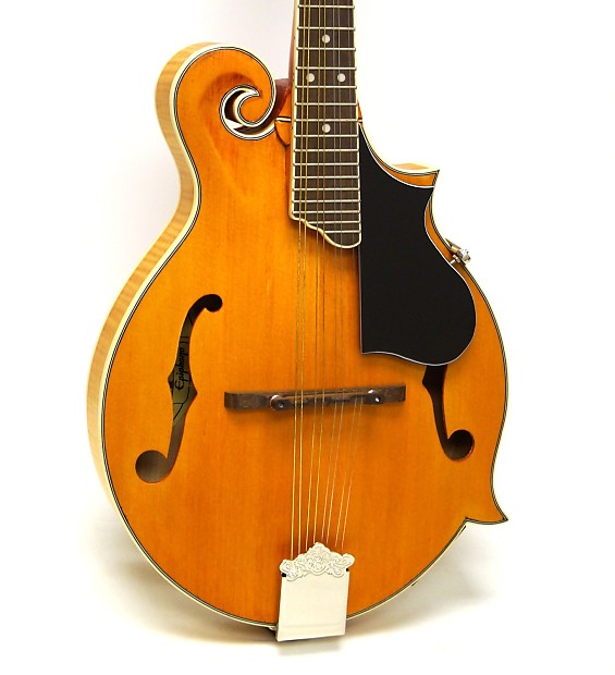 Epiphone MM-50E Professional F-Style Acoustic-Electric
