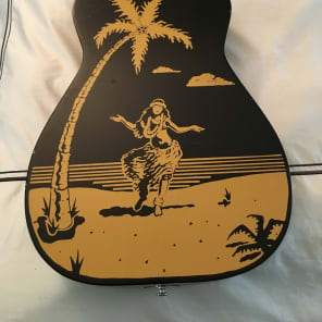 Original Duolian Dobro Hula Blues (Owned by LA Session Guitar legend Tim Pierce) image 2