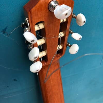 Wilson Campos 7-String Guitar, steel & nylon strings, 2021 image 14
