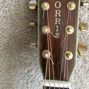 Morris TF-50 1980 Natural | Reverb