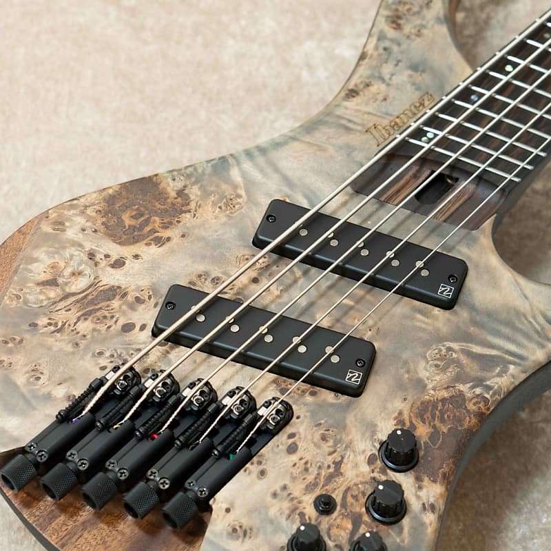 Ibanez EHB1505MS -Black Ice Flat / BIF- 2023 | Reverb Canada