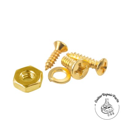 Screw Kit For Les Paul Style Pickguard and Bracket - Gold