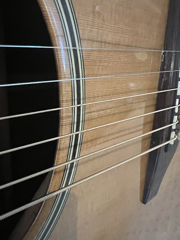 【BASSman】Washburn DC60E WASHBURN DC60E (LEXINGTON) acoustic guitars