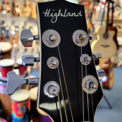 Highland HAB-800 Converted Baritone Guitar image 4