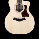 Taylor 254ce #32101 (Factory Used)