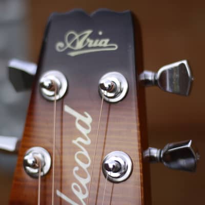 Aria Elecord FE-T65 | Reverb