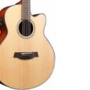 Ibanez AEL108TDNT 8 String Acoustic Electric Guitar
