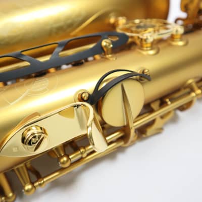 Freeshipping! H.Selmer 【Limited model】 Supreme Modele 2022 Alto saxophone image 18