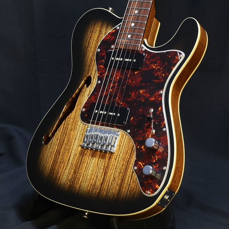 Freedom custom guitar research テレキャスター Freedom Custom Guitar Research テレキャスター