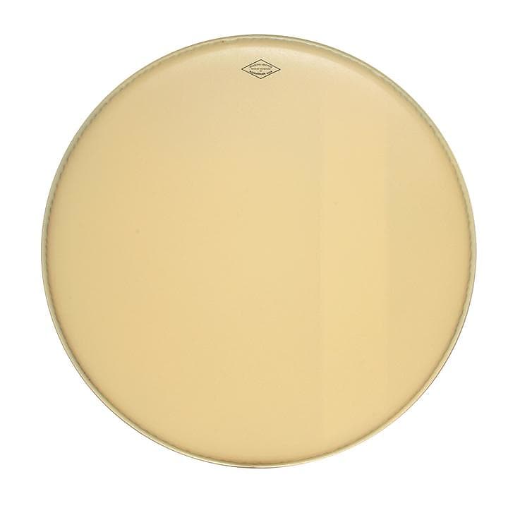 Aquarian Modern Vintage Medium Vintage Coated w/ Felt Strip Reverb