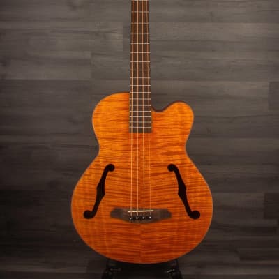 Aria FEB F2M Stained Brown Medium scale Acoustic Bass image 6