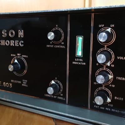 Binson Echorec PE-603 Full Tube - Fully restored! image 1