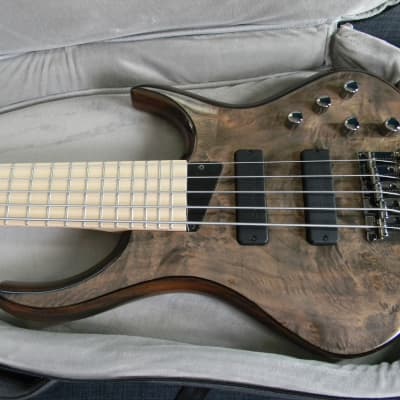 2022 MTD Kingston ZX5 (ZX-5) 5 String Bass Mocha | Reverb Canada