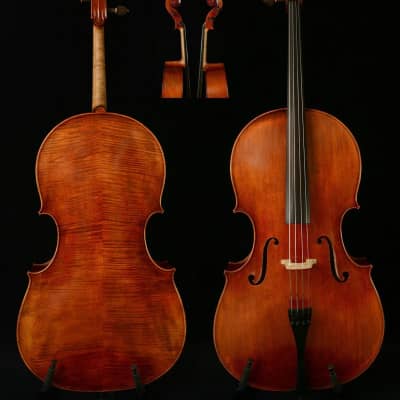 Montagnana Cello Master Wang's Own Work No. W19,2023 image 1