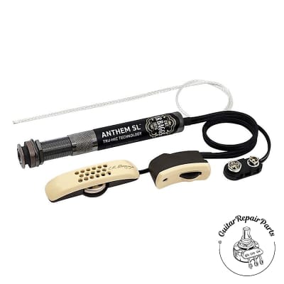 L.R Baggs Anthem SL搭載! Morris W-28 L.R Baggs Anthem SL搭載