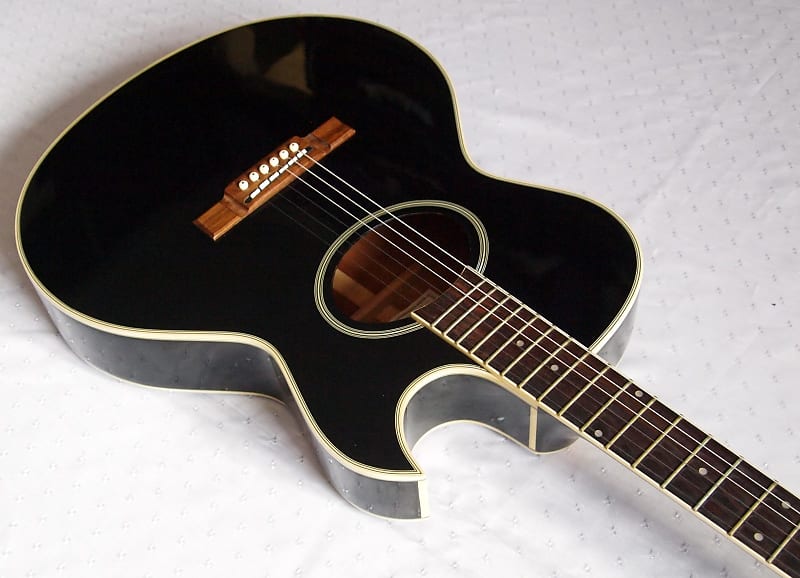 Washburn 2024 ea20 black