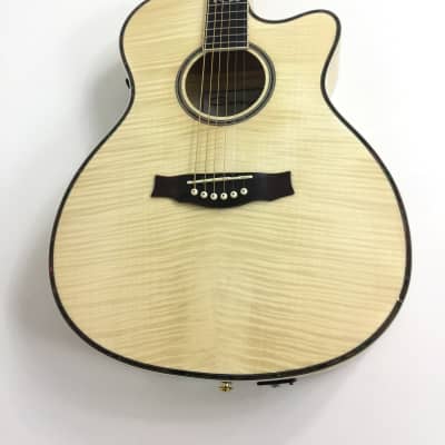 Caraya SDG837CEQSPN All Flame Maple Acoustic Guitar, EQ/REVERB/CHORUS/DELAY Speaker + Free Gig Bag image 3