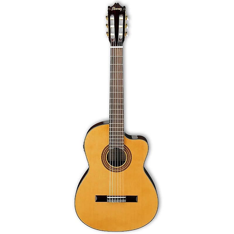 Ibanez nylon deals acoustic electric