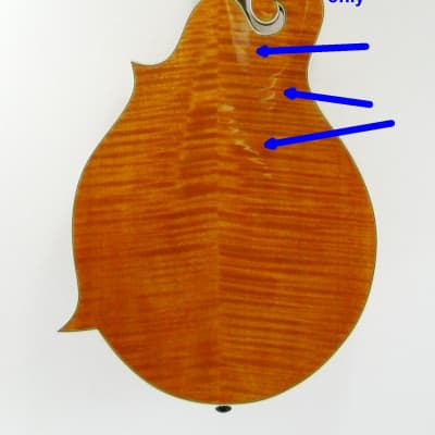 Bluett F4 Mandolin with Pickup 1999 Honey Blonde/Maple image 14