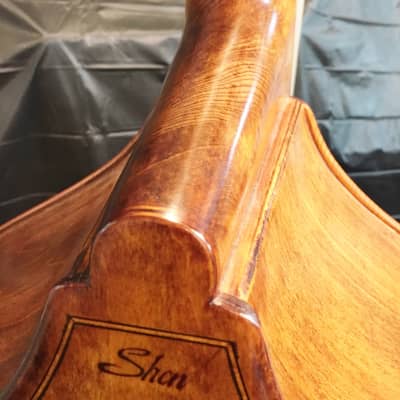 Shen 3/4 Double Bass-Bass Violin-Upright Bass-Model SB 150-Like New-Custom Set Up image 10