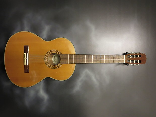 Epiphone c40 store