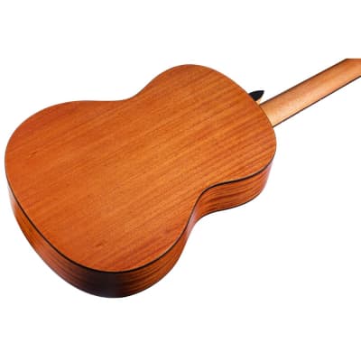 Cordoba C1M Protege Full Nylon-String Acoustic Guitar Rosewood Board Natural image 4