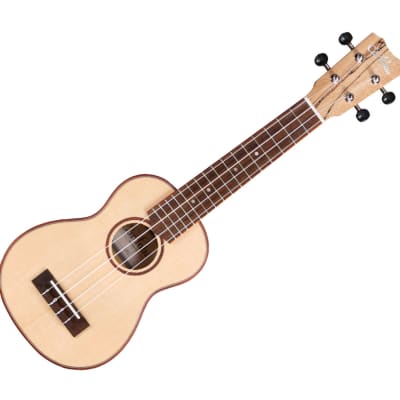 GOT A UKULELE - Ukulele reviews and beginners tips: Cort UKE-BWS Soprano  Ukulele - REVIEW