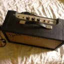 Very Clean 1976 Fender Reverb Unit Sweet Tube Reverb Tone w/ Fender Footswitch