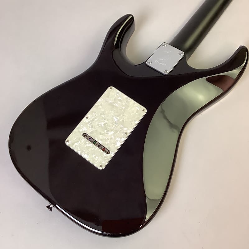 超爆安 T's guitars DST Pro24 エレキギター - sunvillerent.com